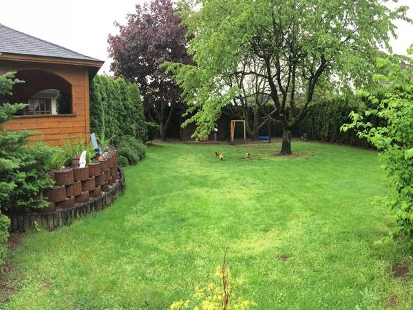 Housesitting assignment in Nürnberg, Germany