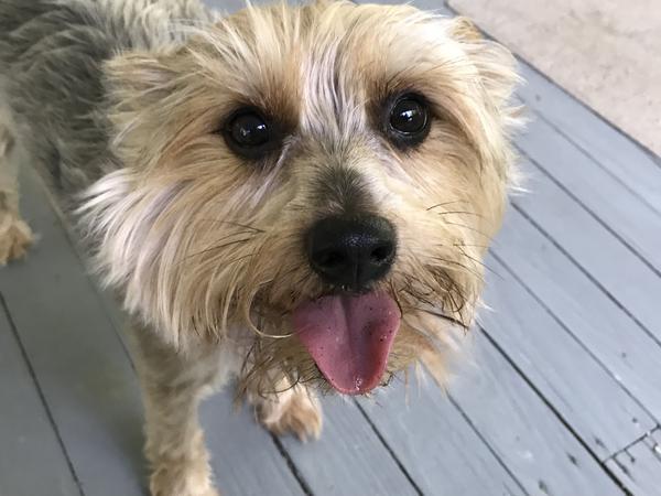 Rupert from Hammond, Louisiana, United States
