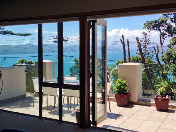 Housesitting assignment in Wellington, New Zealand