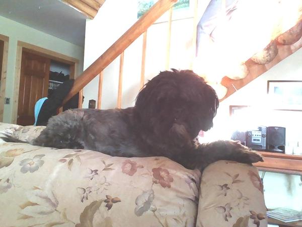 Housesitting assignment in Glidden, Wisconsin, United States