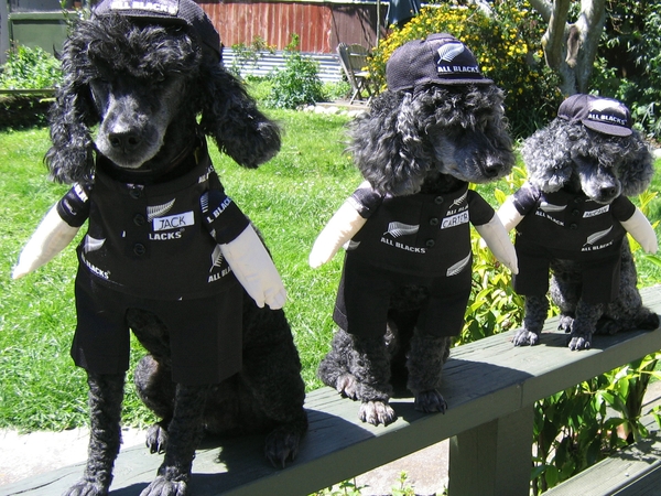 Jane from Burnham, New Zealand