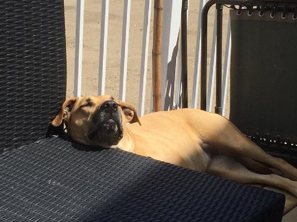 Housesitting assignment in La Ronge, Saskatchewan, Canada