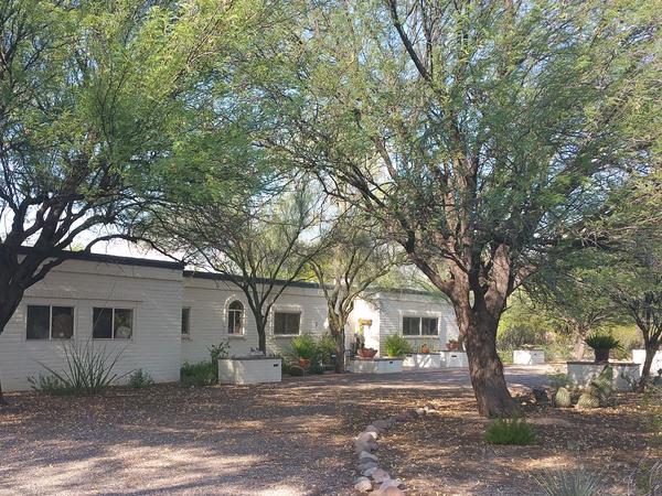 Housesitting assignment in Tucson, Arizona, United States