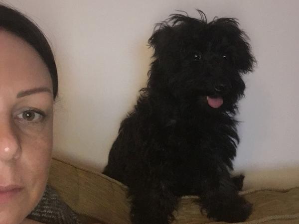 Housesitting assignment in Bidford-on-avon, United Kingdom