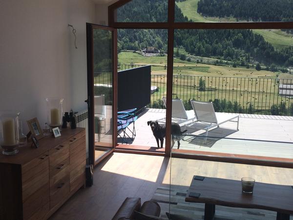 Housesitting assignment in Andorra la Vella, Andorra