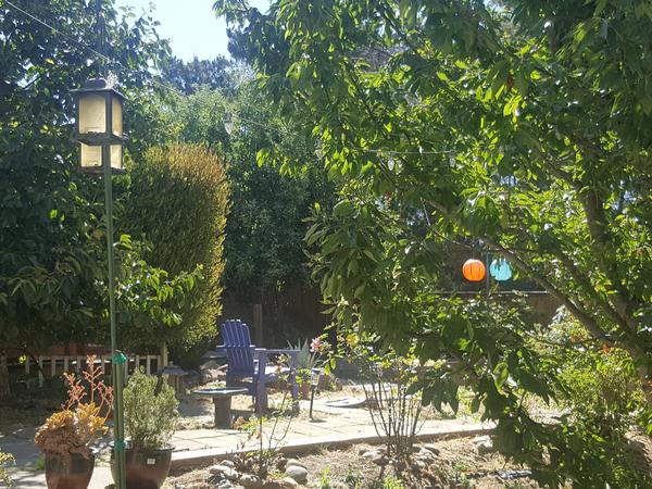 Housesitting assignment in El Sobrante, California, United States