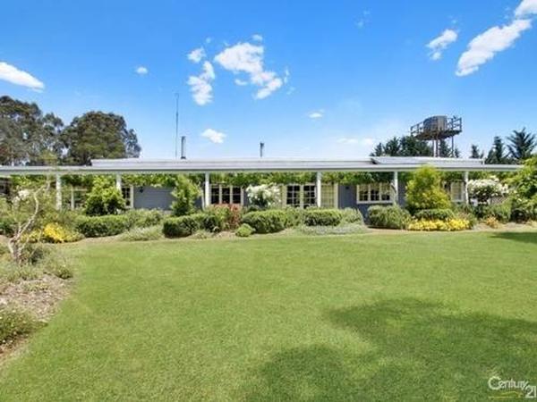 Housesitting assignment in Goulburn, New South Wales, Australia