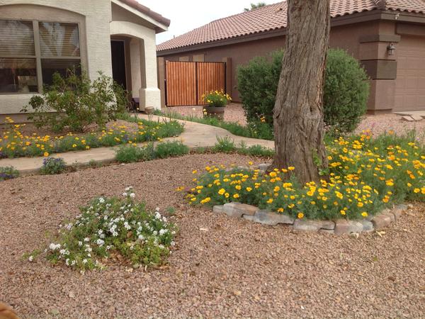 Housesitting assignment in Mesa, Arizona, United States