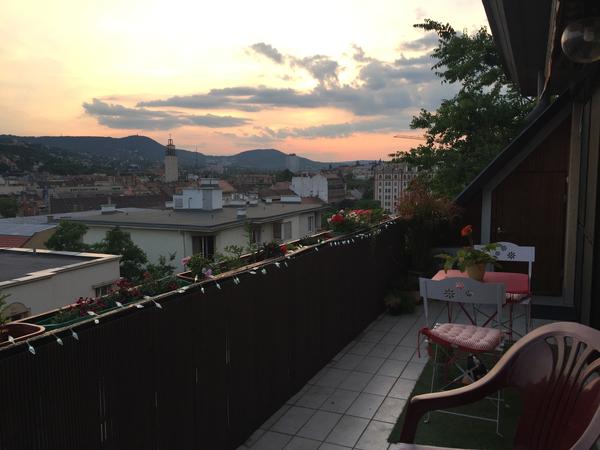 Housesitting assignment in Budapest, Hungary
