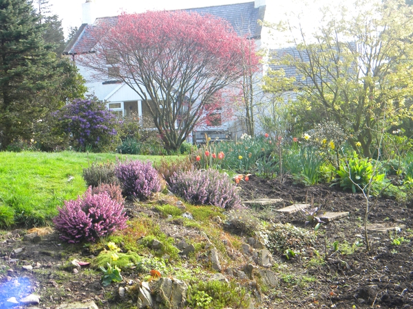 Housesitting assignment in Ballantrae, United Kingdom