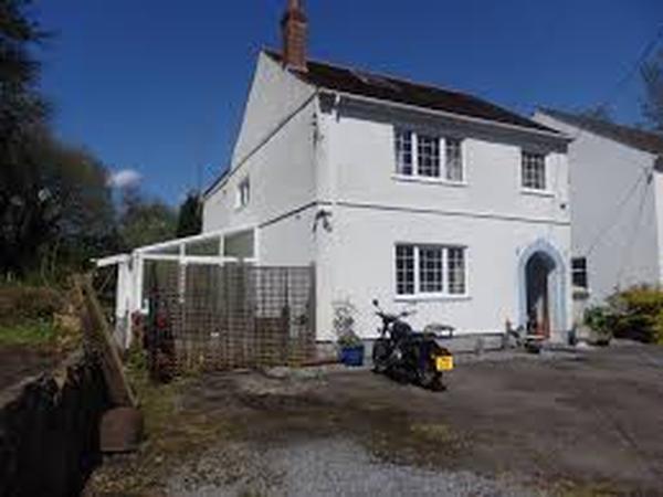 Housesitting assignment in Llanelli, United Kingdom