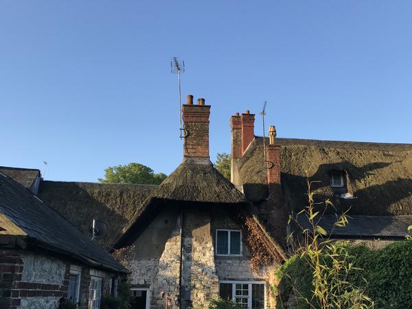 Housesitting assignment in Evershot, United Kingdom