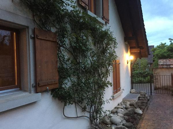Housesitting assignment in Zürich, Switzerland