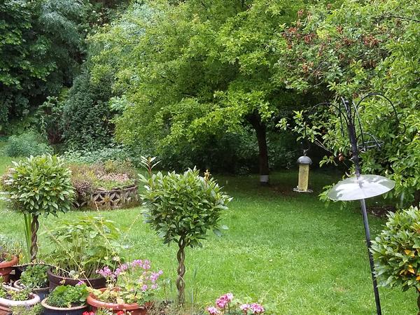 Housesitting assignment in Cheadle Hulme, United Kingdom