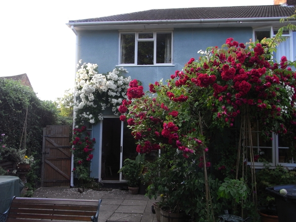 Housesitting assignment in Horsell, United Kingdom