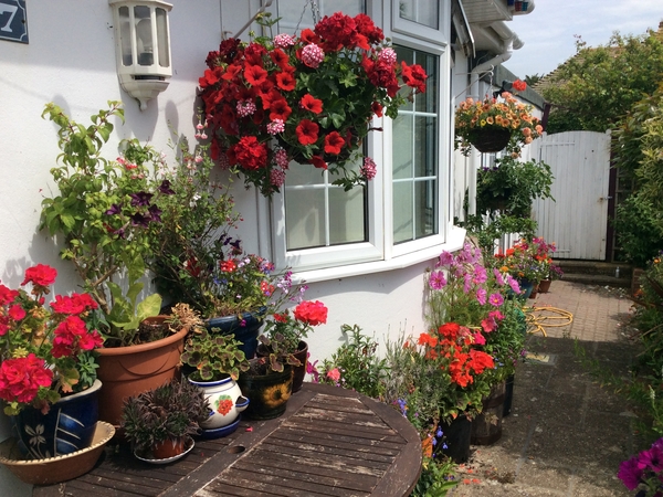 Housesitting assignment in Brighton, United Kingdom