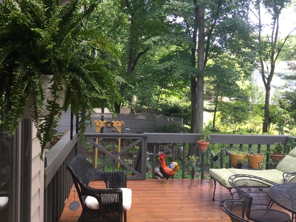 Housesitting assignment in South Bend, Indiana, United States