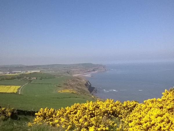 Housesitting assignment in Loftus, United Kingdom