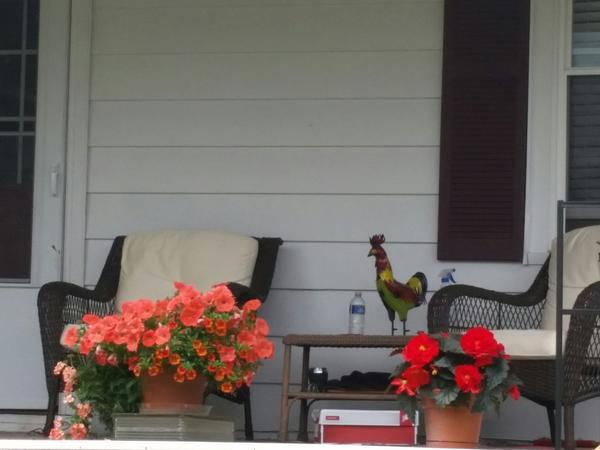 Housesitting assignment in Harveys Lake, PA, United States