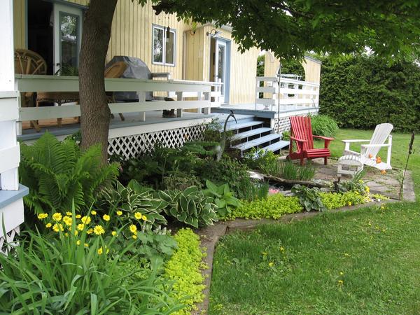 Housesitting assignment in Chelsea, Quebec, Canada