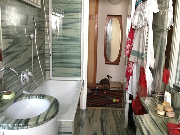 Housesitting assignment in Milano, Italy