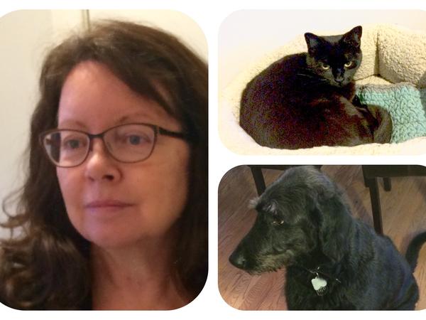 Catherine (kate) from Welland, ON, Canada