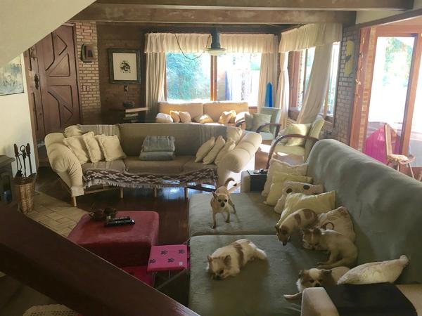 Housesitting assignment in Porto Alegre, Brazil