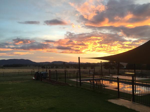 Housesitting assignment in Tamworth, NSW, Australia