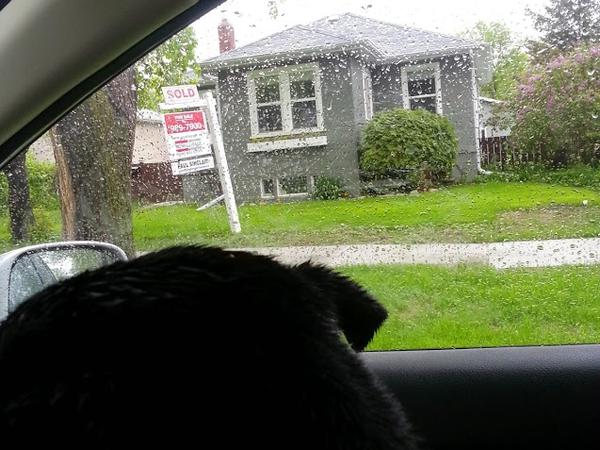 Housesitting assignment in Winnipeg, Manitoba, Canada