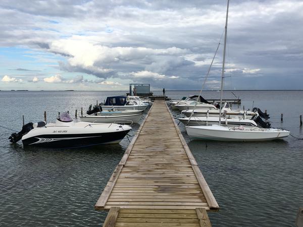 Housesitting assignment in Dragør, Denmark