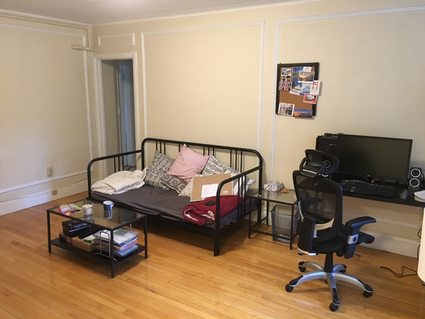 Housesitting assignment in Brookline, MA, United States