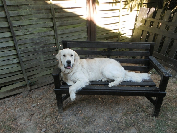 Housesitting assignment in Josselin, France