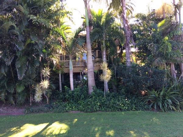 Housesitting assignment in Springwood, QLD, Australia