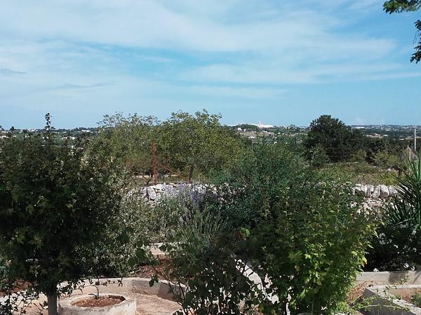 Housesitting assignment in Martina Franca, Italy