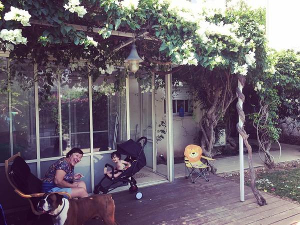 Housesitting assignment in Haifa, Israel