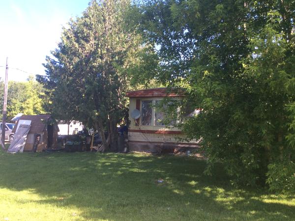 Housesitting assignment in Ethelbert, MB, Canada