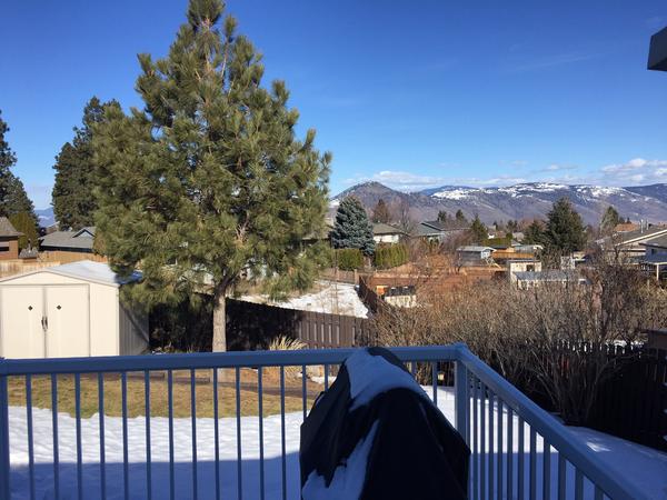 Housesitting assignment in Kamloops, BC, Canada