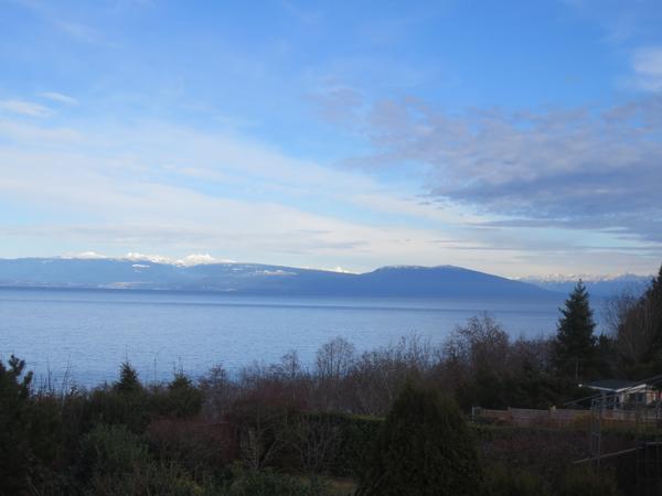 Housesitting assignment in Nanaimo, British Columbia, Canada