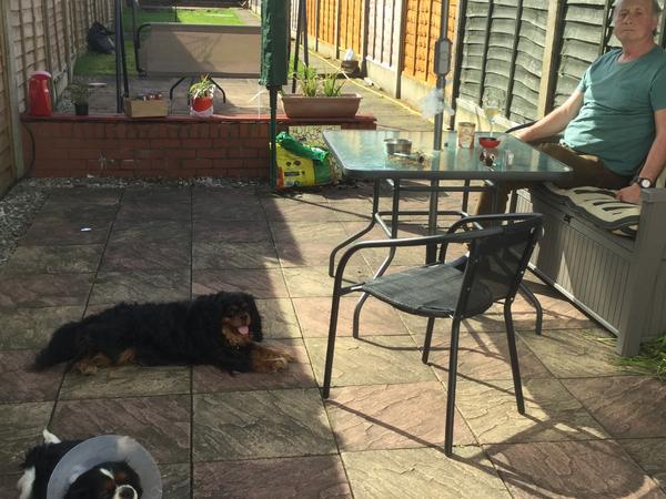 Housesitting assignment in Kidderminster, United Kingdom