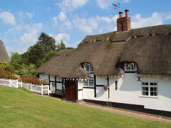 Housesitting assignment in Kenilworth, United Kingdom