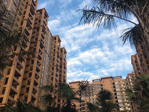 Housesitting assignment in Chengdu, China