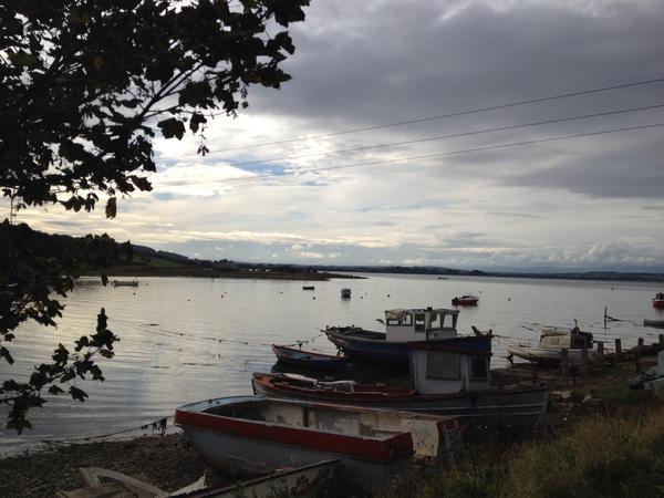 Housesitting assignment in Montrose, United Kingdom
