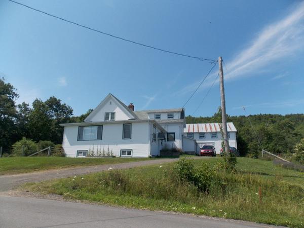 Housesitting assignment in Bridgetown, NS, Canada