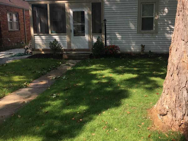Housesitting assignment in Indianapolis, Indiana, United States