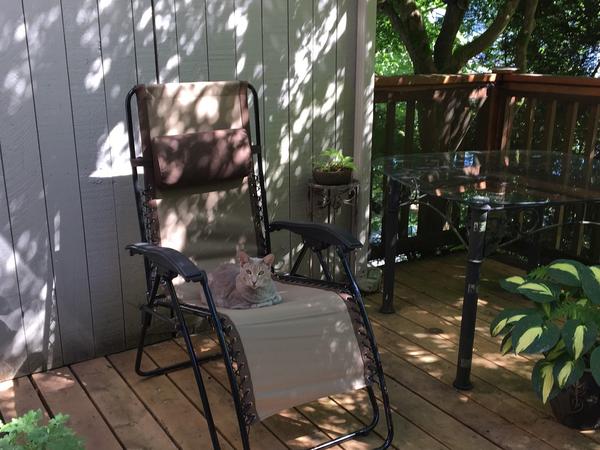 Housesitting assignment in Port Moody, British Columbia, Canada