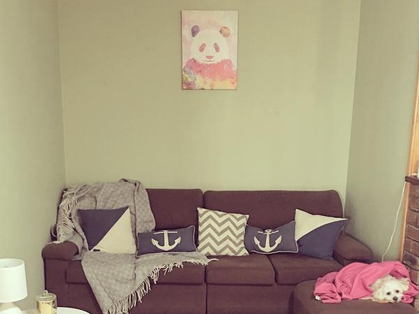 Housesitting assignment in Grantham, Queensland, Australia