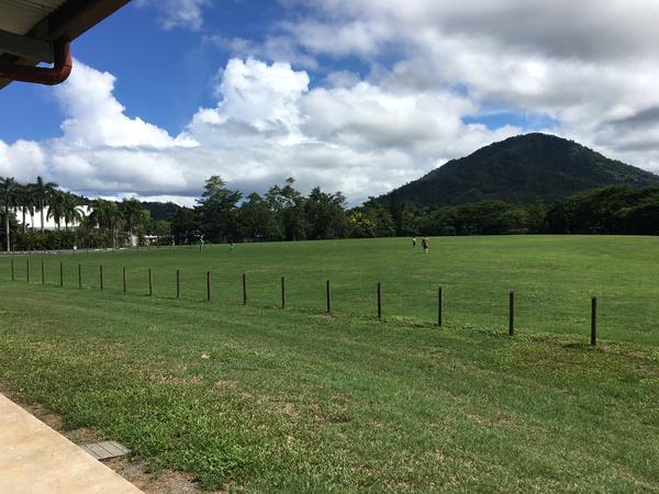 Housesitting assignment in Cairns, Queensland, Australia