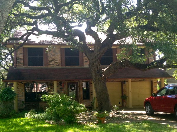 Housesitting assignment in Austin, TX, United States
