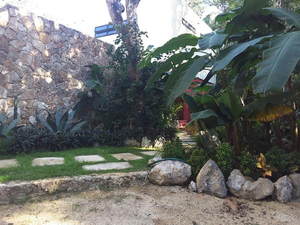 Housesitting assignment in Tulum, Mexico