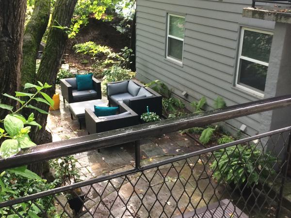 Housesitting assignment in Madison, Wisconsin, United States